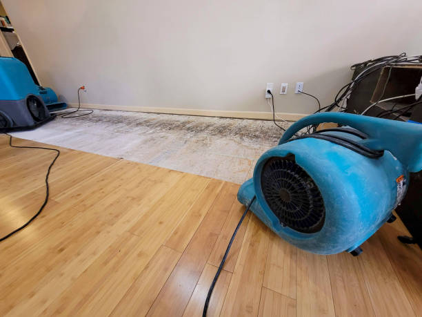 Professional Water Removal technician working in White Plains, NY